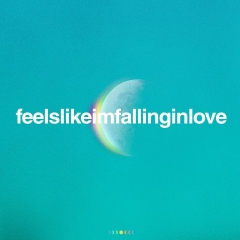 FEELSLIKEIMFALLINGINLOVE
