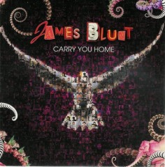 CARRY YOU HOME