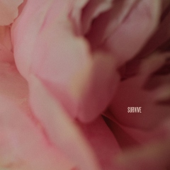 SURVIVE