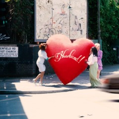 WHERE IS MY HUSBAND!