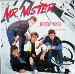 BROKEN WINGS