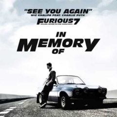 SEE YOU AGAIN