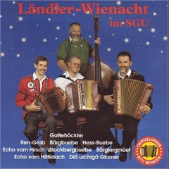 HEIMATABIG IM BASLERSTAB Schottisch